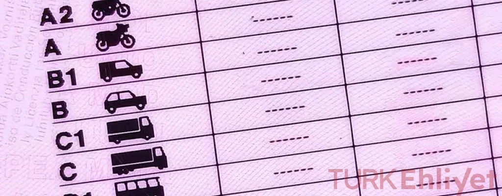 دليل شامل لفئات رخص القيادة في تركيا ومتطلبات كل فئة (تحديث 2025)