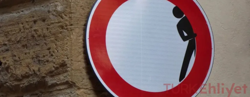 Dünyanın en ilginç 5 trafik ışığı… Türkiye’de işe yarar mı?